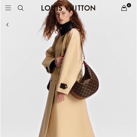 Louis Vuitton Loop Hobo - Picture 1 of 6